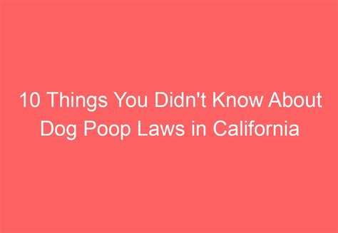 10 Things You Didn't Know About Dog Poop Laws in California - HowTravelPlan