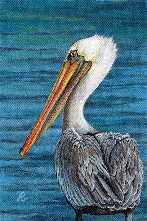 Sea Birds of Florida paintings | Florida Pelican Painting by Peggy ...