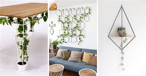 6 Ways To Include Indoor Vines In Your Interior | CONTEMPORIST