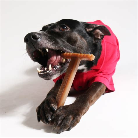 The Best Rawhide Alternative For Dogs – BulliBone