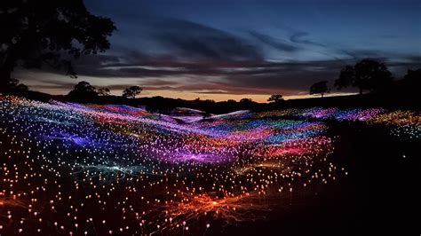 Field Of Light At Sensorio Paso Robles Valley Wallpaper,HD Nature ...