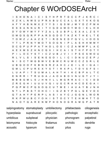 Chapter 6 WOrDOSEArcH Word Search - WordMint