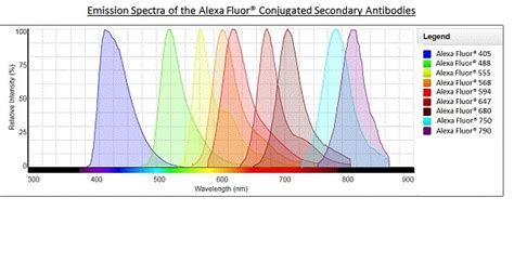 Donkey Anti Mouse (IgG) secondary antibody Alexa Fluor® 647 (ab150107) | Abcam