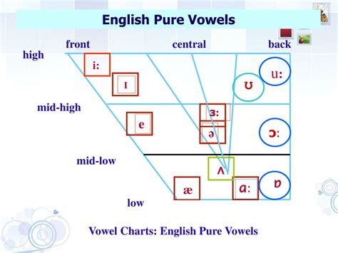 PPT - Vowels: Back Vowels PowerPoint Presentation, free download - ID ...