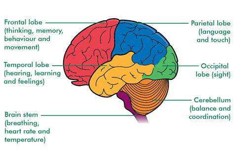 Frontotemporal Dementia, what is it and how do we support our loved ...