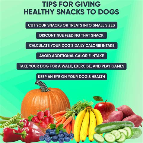 10 Best Healthy Snacks for Dogs That Are Nutritious & Tips For Giving