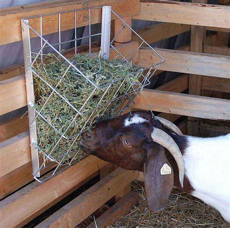 Homemade Hay Rack For Goats - Homemade Ftempo