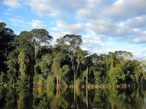 5-five-5: Atlantic Forest (Brazil)