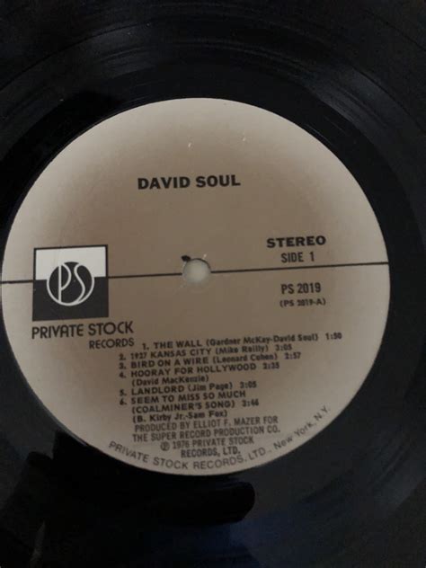 David Soul LP 11 Songs 1976 Private Stock Records - Etsy