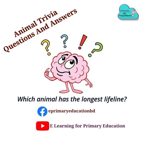 Animal Trivia Questions & Answer | Trivia questions and answers, Trivia ...