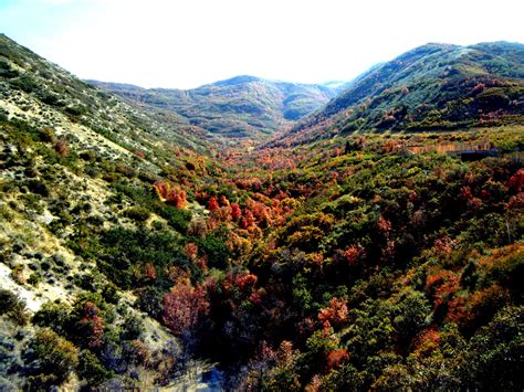 an aerial view of the mountains with trees in autumn colors and green ...