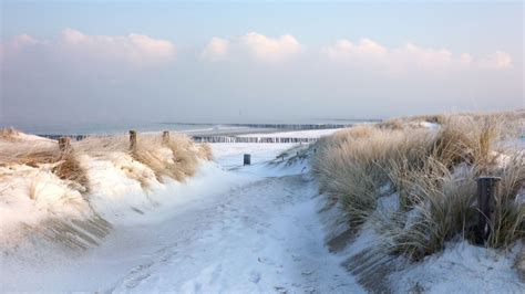 Winter on the dutch coast – Artofit