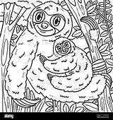 Sloth Coloring Pages For Kids sketch template