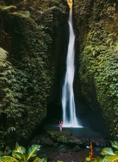 8 Jaw-Dropping Ubud Waterfalls You Can't Miss • Hoponworld