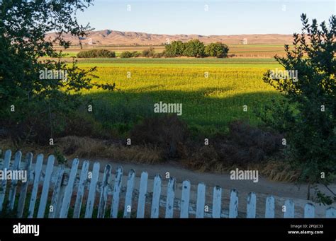 Mission San Juan Bautista State Historic Park in California Stock Photo ...