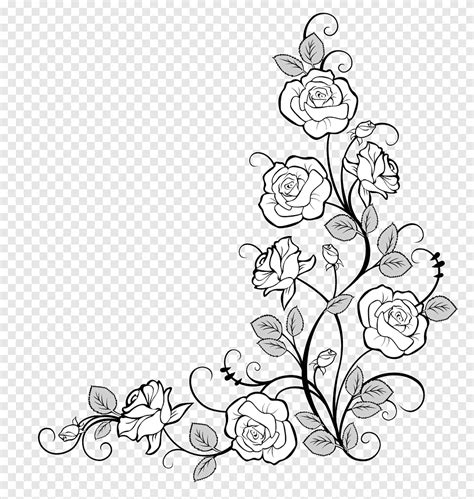 White roses border, Drawing Flower Idea, rose, white, leaf png | PNGEgg