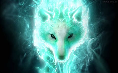 Download Glowing Wolf Wild Animal Wallpaper | Wallpapers.com