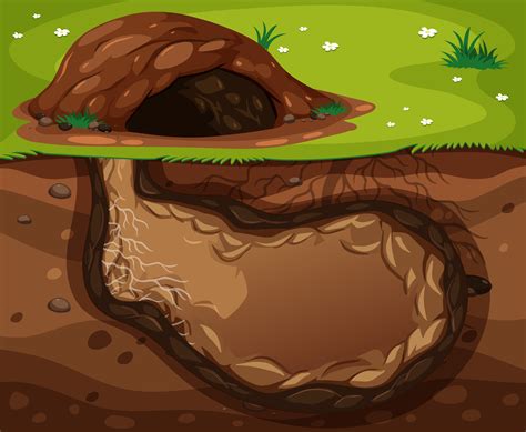 An Animal Underground Habitat on White Background 432128 Vector Art at ...