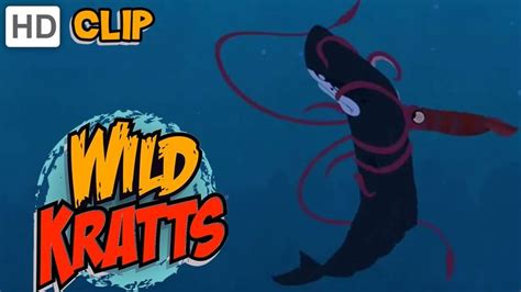 Wild Kratts - Sperm Whale Vs. Giant Squid