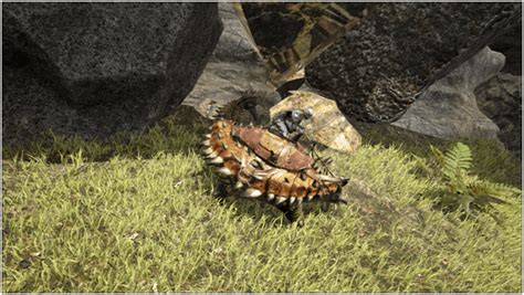 Ark Ankylosaurus (Abilities, Taming, Food, Saddle, Breeding, Drops & Location) - ProGameTalk