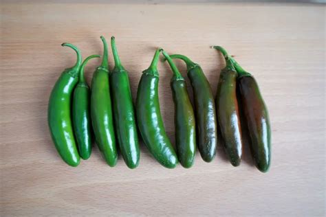 Chile De Arbol Substitutes - 9 Alternative Ingredients - Pepper Geek