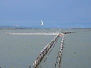 Category:Lake Pomorie - Wikimedia Commons