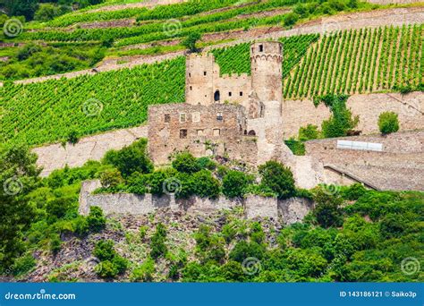 Burg Ehrenfels Castle in Rudesheim Stock Image - Image of ehrenfels, romantic: 143186121