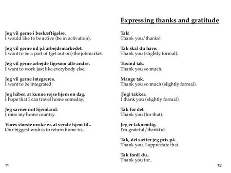 Basic danish phrases