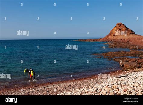 Scuba divers, Ras Dihamri Marine Reserve, Socotra island, listed as World Heritage by UNESCO ...