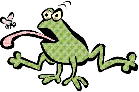 frog eating fly cartoon transparent - Clip Art Library