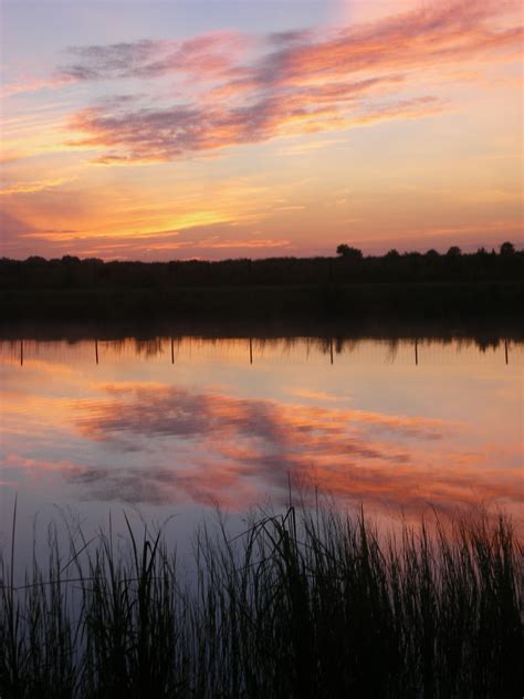 Sunrise over the front pond. | Naturaleza, Vida