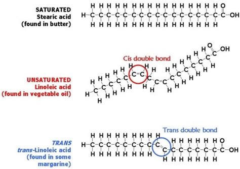 Why Are Trans Fats Bad for You? The Disturbing Truth