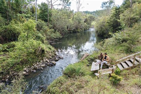 Picnic by the river | Riparide