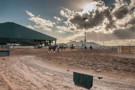 Evening ride at Horseshoe Park & Equestrian Centre Equestrian Center, Equestrian Life, Event ...