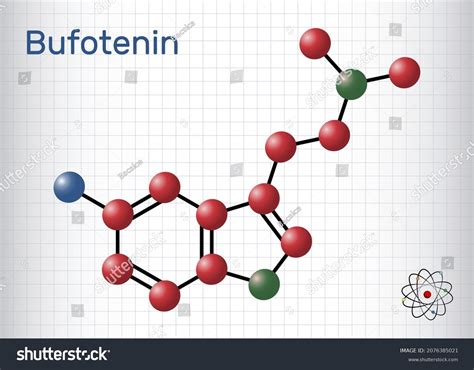 Bufotenin 5hodmt Bufotenine Molecule Alkaloid Tryptamine Stock Vector (Royalty Free) 2076385021 ...