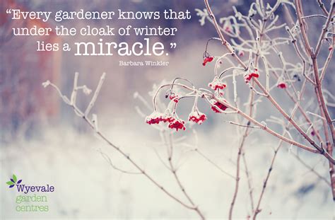 "Every gardener knows that under the cloak of winter lies a miracle." Barbara Winkler | Garden ...