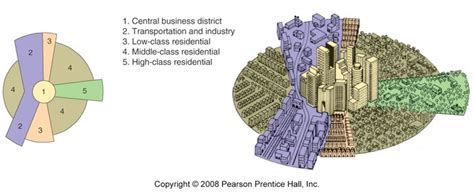 City Structure Models | Ap human geography, Urban, Theories