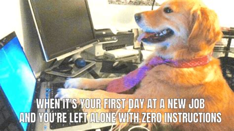 6 First Day of Work Memes That Perfectly Sum Up What It's Like