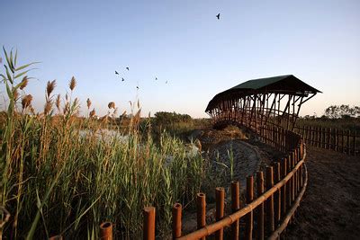 Biodiversity park in Delhi | Locomotoring