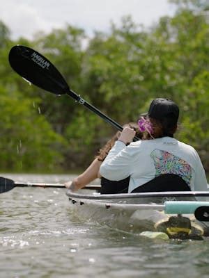 Robinson Preserve, FL Clear Kayak Tours | Get Up and Go Kayaking