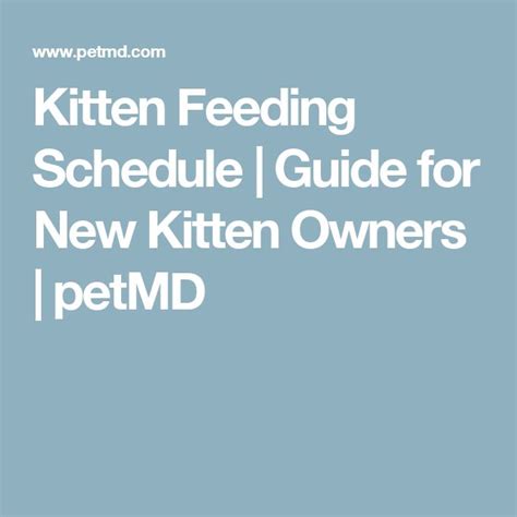 Kitten Feeding Schedule | Guide for New Kitten Owners | petMD | Feeding kittens, Feeding, Kitten