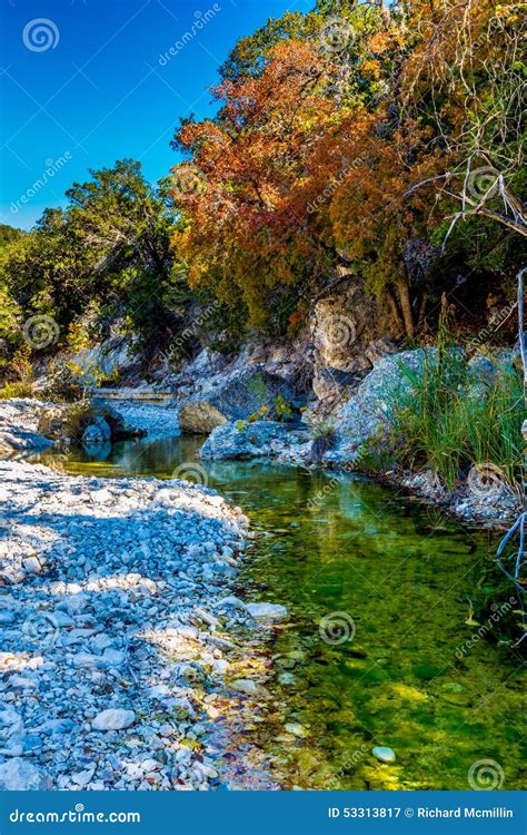 Fall Foliage on a Clear Rocky Creek with Maple Trees in Lost Maples Stock Image - Image of ...