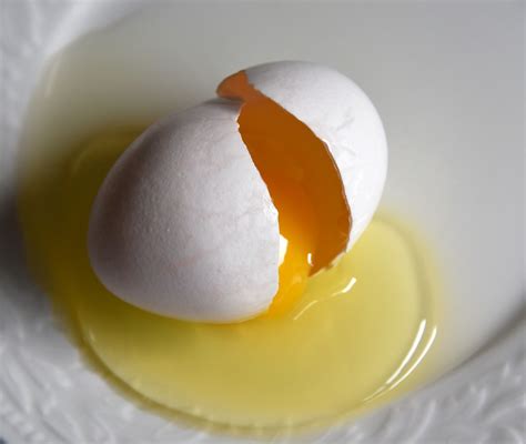 The Broken Egg Free Stock Photo - Public Domain Pictures