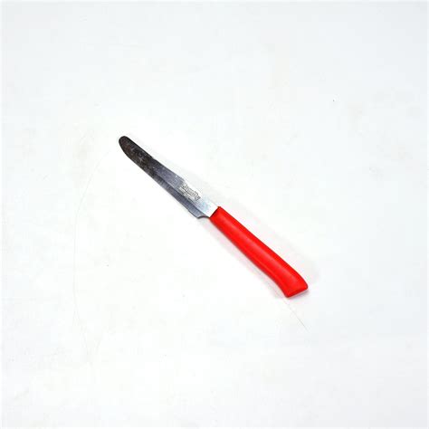 Red Kitchen Knife Steak and Vegetable Knife – Razor Sharp Pointed Tip, Serrated Edge – Color ...