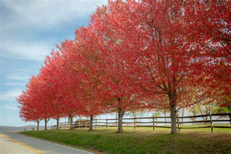 50+ Insanely Beautiful Places to View Fall Foliage in PA