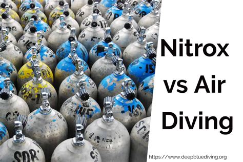 Nitrox vs Air Diving - What you need to know! - Scuba Diving Gear