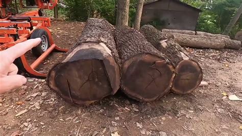 "NEW" Equipment Tour The Lumber Yard and Log Yard - YouTube