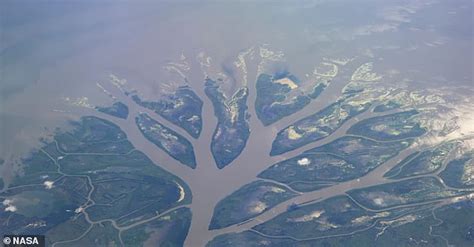 NASA launches new program to study impact of rising sea levels on the Mississippi River Delta ...