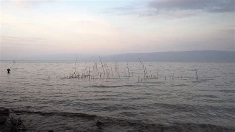 Sunrise On Sea Of Galilee Israel Stock Footage SBV-347412288 - Storyblocks