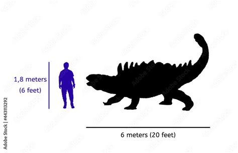 Comparison size between ankylosaurus and human. Illustration of ...